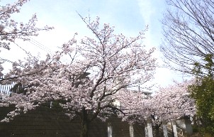 七曲見晴児童公園