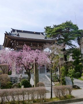 常楽寺