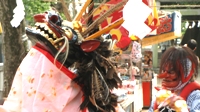 稲城　青渭神社　『獅子舞』