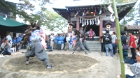 稲城　青渭神社　『獅子舞』