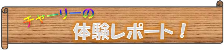 チャーリー体験レポート　いなぎ市民祭