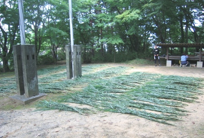 稲城　妙見寺　蛇より行事　茅