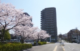 稲城駅　南口